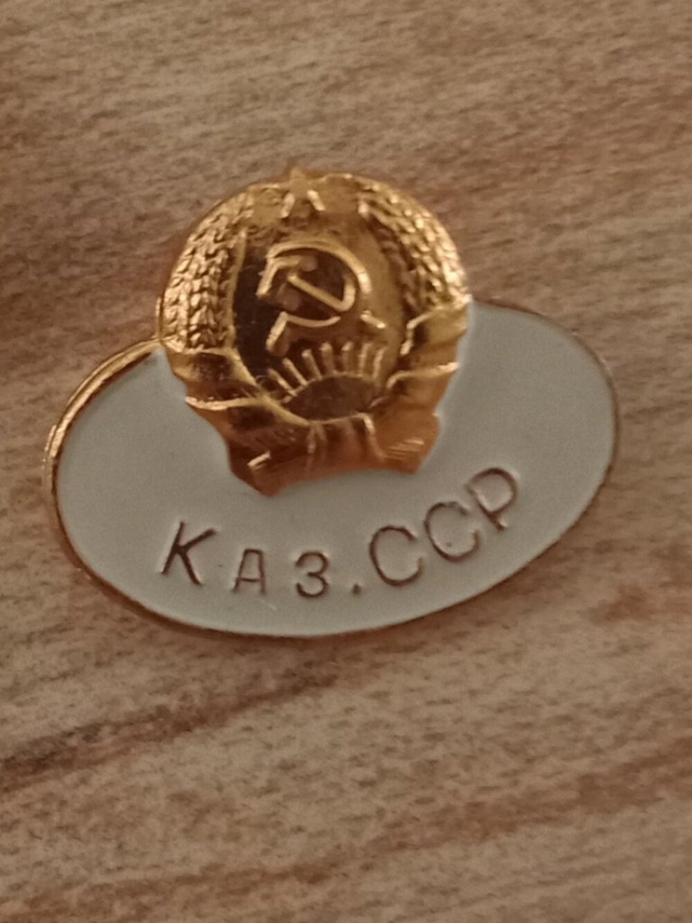 Soviet Badge Pin